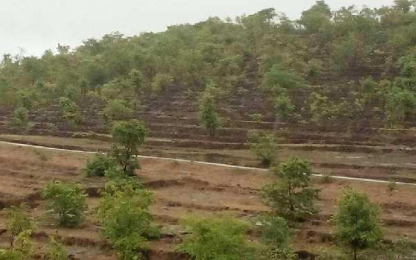  650 Acre Industrial Land for Sale in Rajapur, Ratnagiri