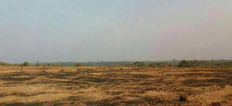  250 Acre Industrial Land for Sale in Rajapur, Ratnagiri