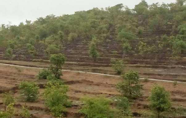  350 Acre Industrial Land for Sale in Rajapur, Ratnagiri