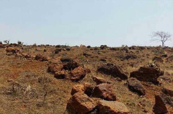  654 Acre Industrial Land for Sale in Rajapur, Ratnagiri