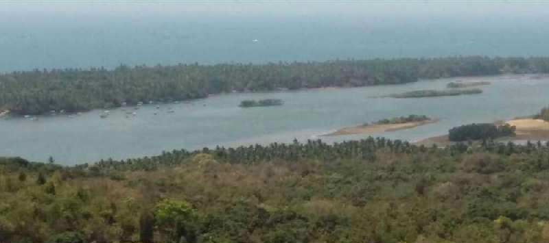  50 Acre Industrial Land for Sale in Rajapur, Ratnagiri