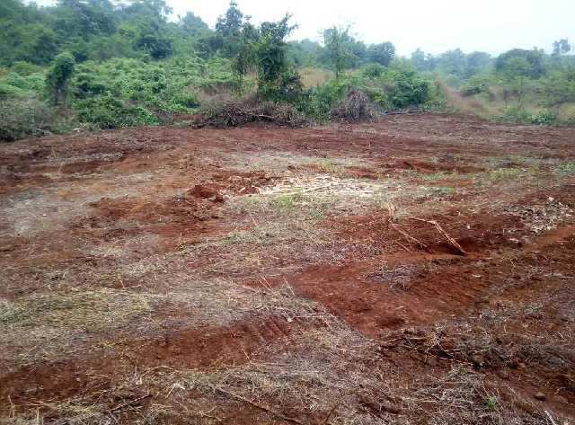  50 Acre Industrial Land for Sale in Rajapur, Ratnagiri