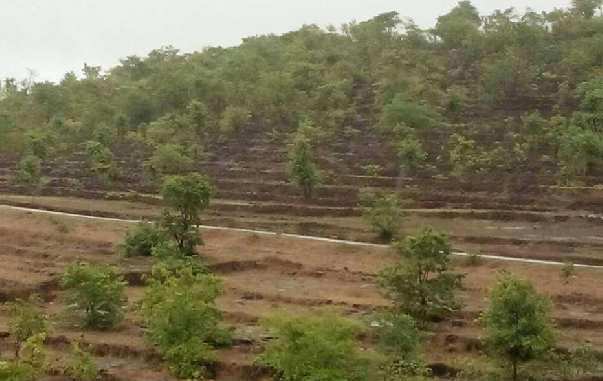  120 Acre Industrial Land for Sale in Rajapur, Ratnagiri
