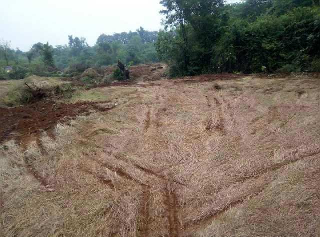  Industrial Land 321 Acre for Sale in Rajapur, Ratnagiri