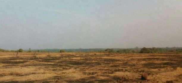  Industrial Land 321 Acre for Sale in Rajapur, Ratnagiri