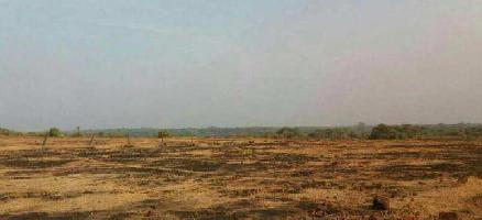 Industrial Land for Sale in Rajapur, Ratnagiri
