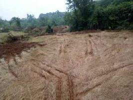  Agricultural Land for Sale in Lanja, Ratnagiri