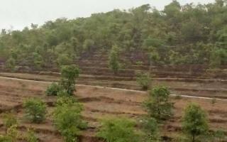  Agricultural Land for Sale in Lanja, Ratnagiri