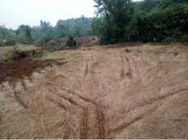  Industrial Land for Sale in Roha, Raigad