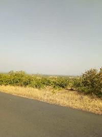  Agricultural Land for Sale in Ratnagiri Maharashtra, Ratnagiri