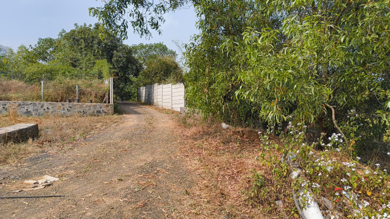  Industrial Land 20 Guntha for Sale in Dindori, Nashik