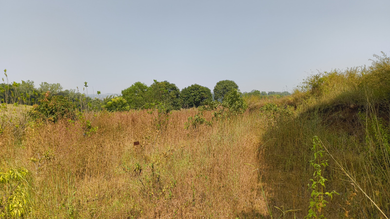  Industrial Land 20 Guntha for Sale in Dindori, Nashik