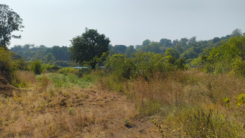  Industrial Land 20 Guntha for Sale in Dindori, Nashik