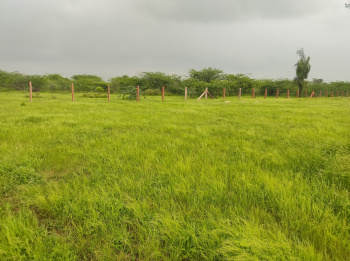  Agricultural Land for Sale in Sumerpur Pali