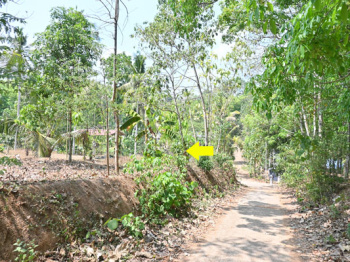  Residential Plot for Sale in Elanthoor, Pathanamthitta
