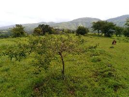  Agricultural Land for Sale in Velhe, Pune