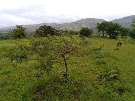  Agricultural Land for Sale in Velhe, Pune