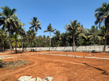  Residential Plot for Sale in Kuttoor, Thrissur