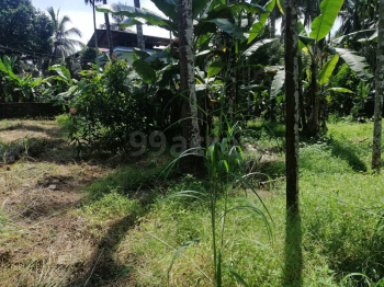  Residential Plot for Sale in Chembukkav, Thrissur