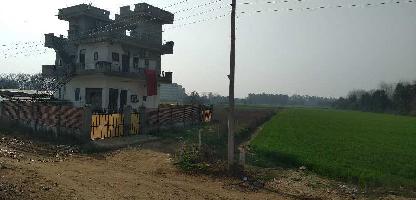  Agricultural Land for Sale in Jhande Baddowal, Ludhiana