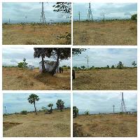  Residential Plot for Sale in Alangulam, Tirunelveli