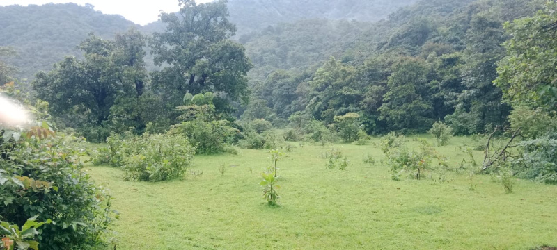  Agricultural Land 1000 Acre for Sale in Sawantwadi, Sindhudurg