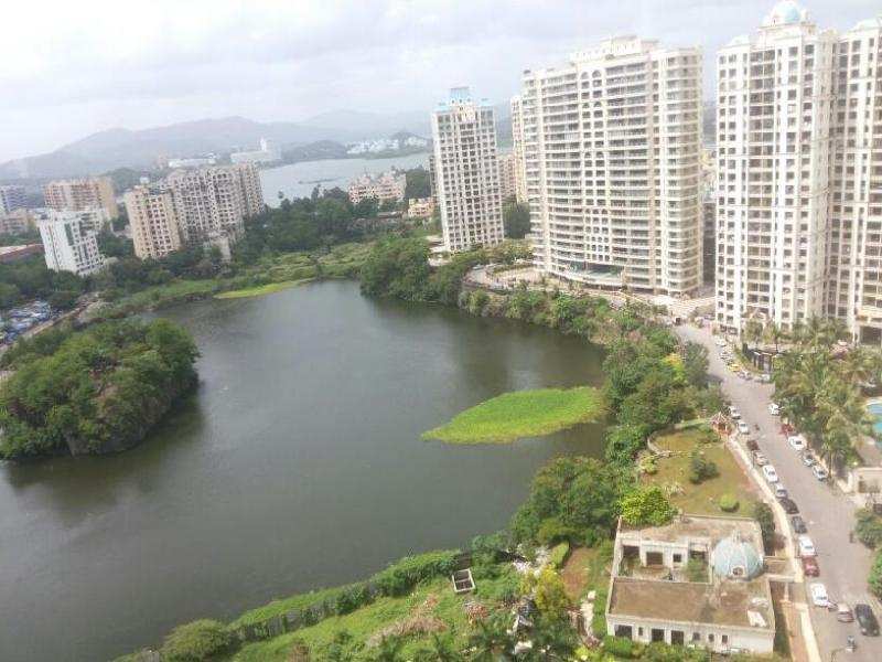 1 BHK Apartment 625 Sq.ft. for Rent in Chandivali Farm Road, Mumbai