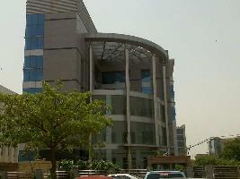  Factory for Rent in Mayapuri, Delhi