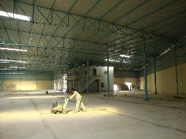  Warehouse for Rent in Phase II Udyog Vihar, Gurgaon
