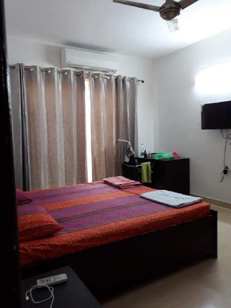 2 BHK House & Villa 900 Sq.ft. for Rent in Juhu, Mumbai