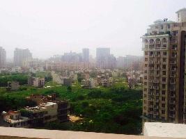 4 BHK Flat for Rent in DLF Phase V, Gurgaon
