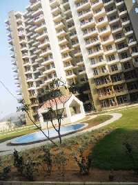 3 BHK Flat for Rent in Sector 24 Dharuhera