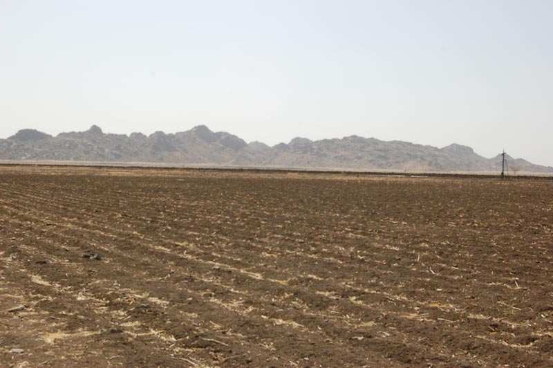 Agricultural Land 1000 Bigha for Sale in