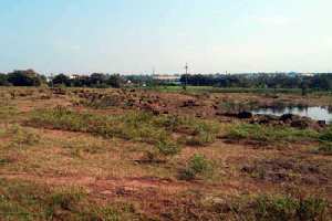  Residential Plot for Sale in Jaysingpur, Kolhapur