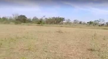  Agricultural Land for Sale in Malavalli, Mandya