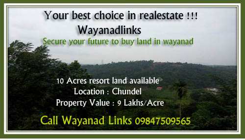 Agricultural Land 10 Acre for Sale in Kenichira, Wayanad