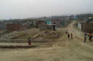  Residential Plot for Sale in Yamuna Expressway, Greater Noida