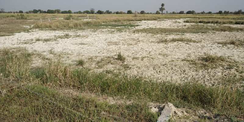 Agricultural Land 3 Ares for Sale in Chaumuhan, Mathura