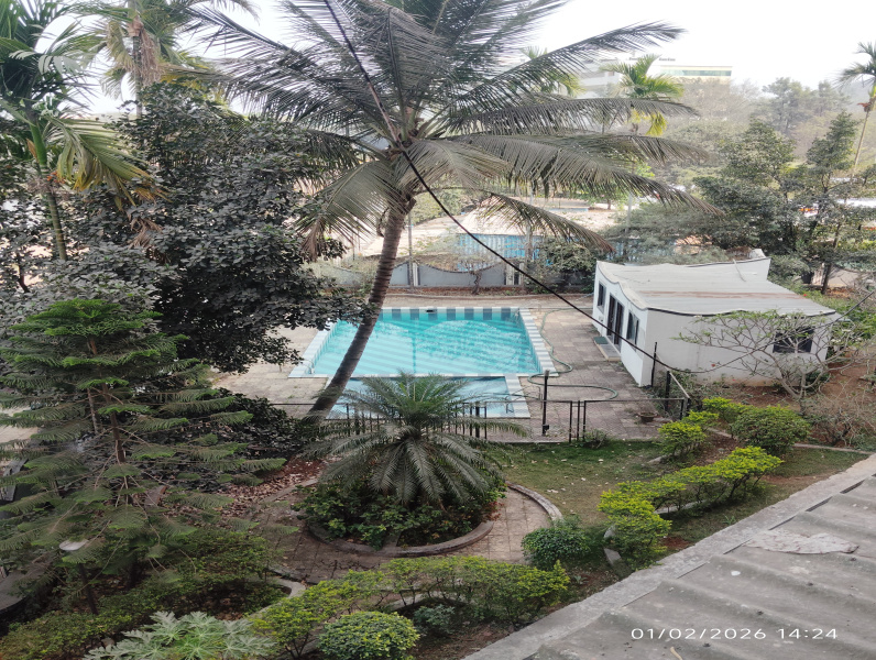 1 BHK 700 Sq.ft. Apartment for Rent in Sutarwadi, Pune