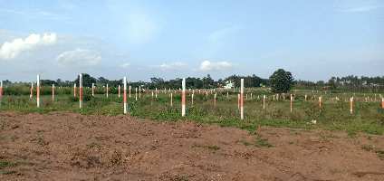  Agricultural Land for Sale in Thalli, Hosur