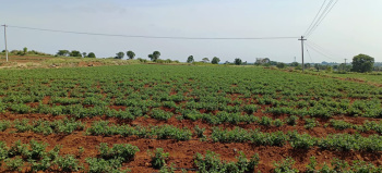  Agricultural Land for Sale in Denkanikottai, Hosur