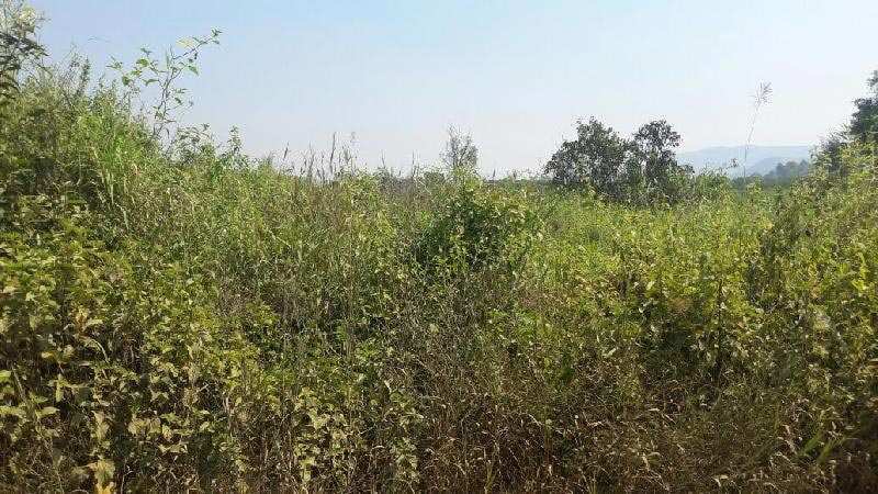 Agricultural Land 18 Acre for Sale in