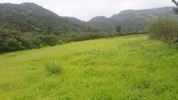  Agricultural Land for Sale in Lonavala, Pune