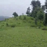  Agricultural Land for Sale in Chail, Shimla