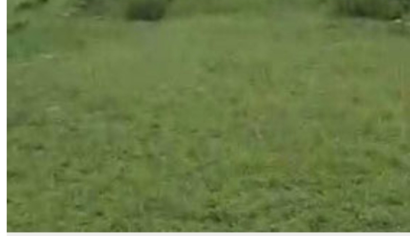  Residential Plot 4 Biswa for Sale in Shilly Road, Solan