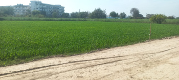  Agricultural Land for Sale in Delhi Agra Highway, Mathura