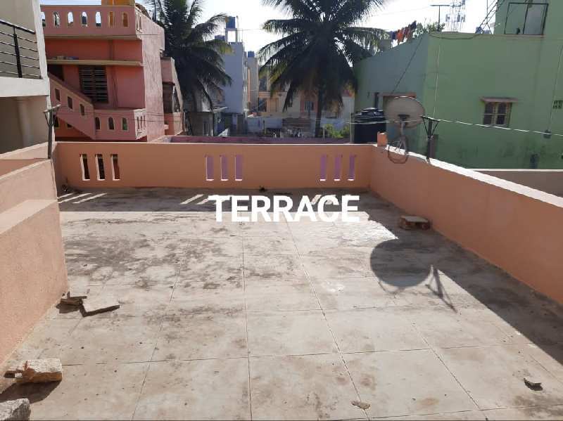 2 BHK House 520 Sq.ft. for Rent in T. Dasarahalli, Bangalore (REI878270)