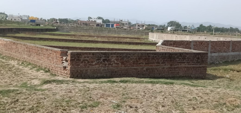  Residential Plot 911 Sq.ft. for Sale in BIT Mesra, Ranchi