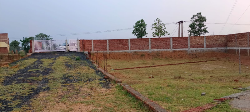  Residential Plot 1181 Sq.ft. for Sale in Ormanjhi, Ranchi