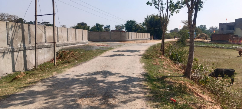 Residential Plot 1104 Sq.ft. for Sale in Ormanjhi, Ranchi